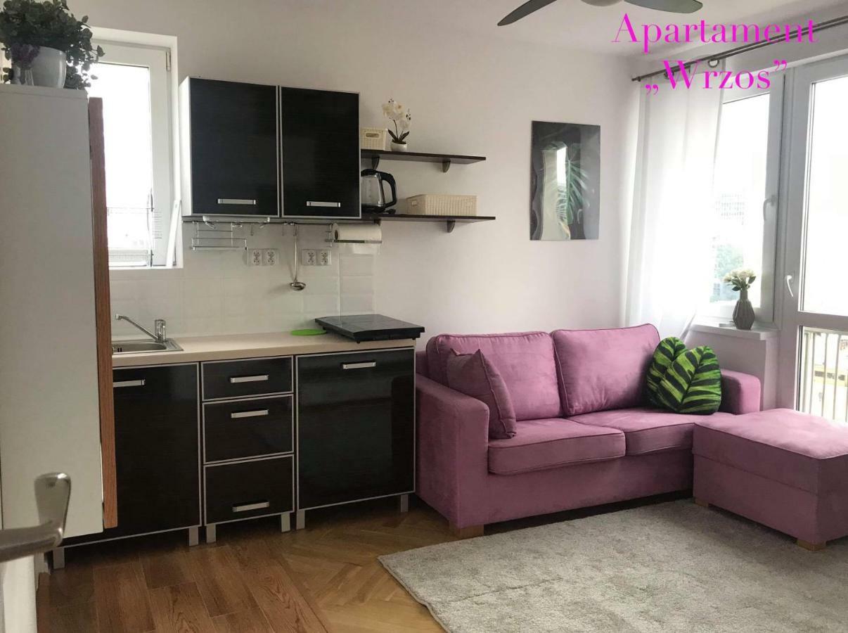 Deluxe Panska Apartments Warszawa Eksteriør billede